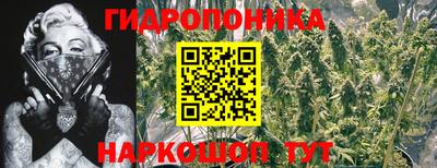 трава Дубна