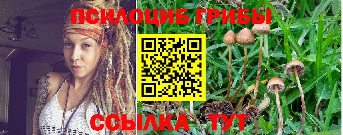 Псилоцибиновые грибы Cubensis  Вход с VPN  дарнет шоп  Псилоцибиновые грибы мицелий  Миасс 